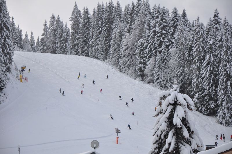 Accommodation near Turche skilifts