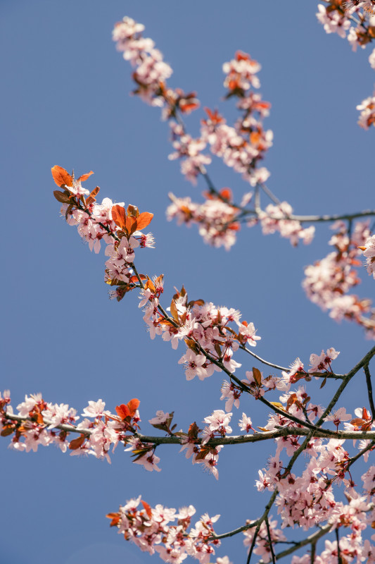 Promo & Bons plans Printemps