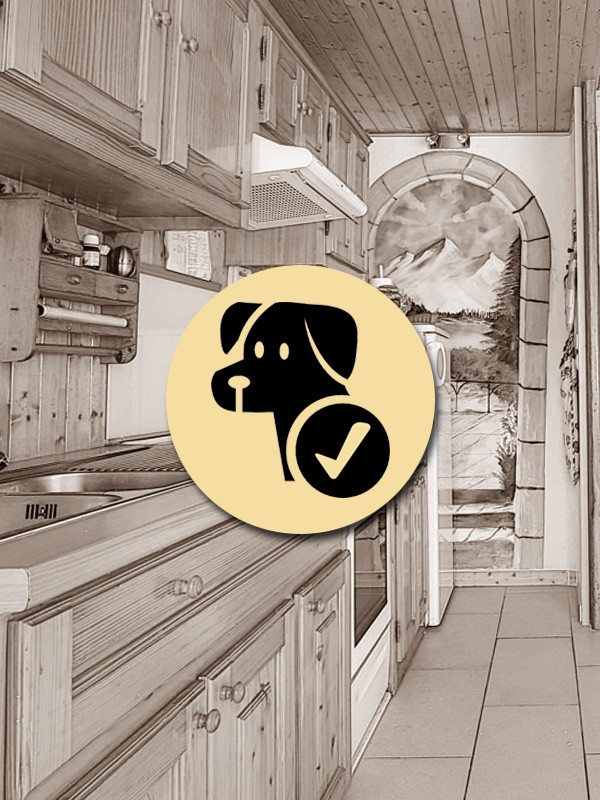 Pet friendly accommodation