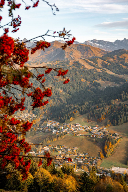 Promo & Bons plans Automne