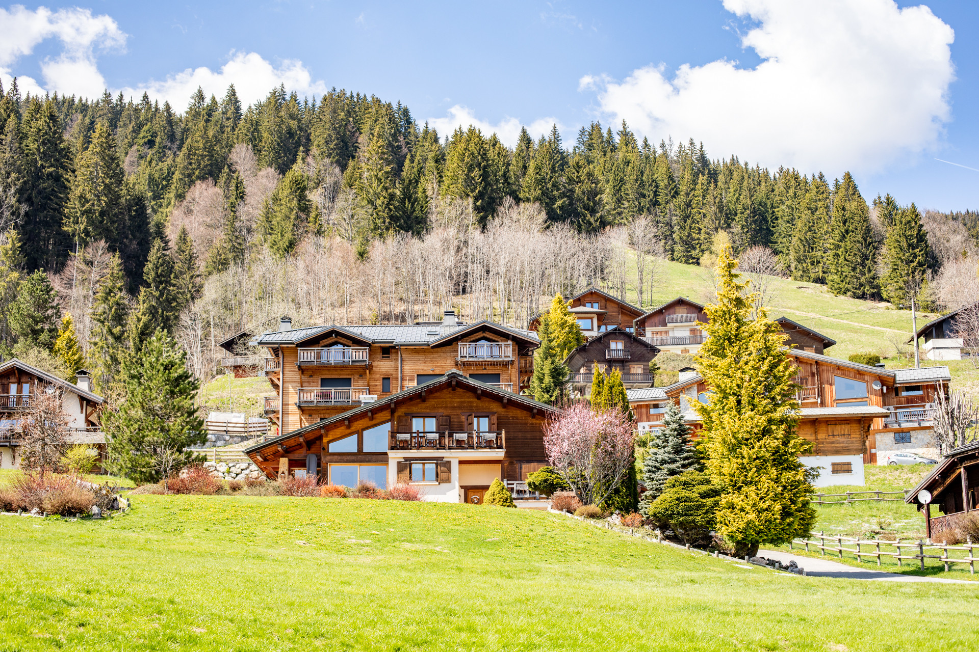 2022-04-28-printemps-fleurs-village-chalet-cplaurabureau-06-ld-76-145