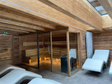 hotel-alpina-spa-sauna-panoramique-6397