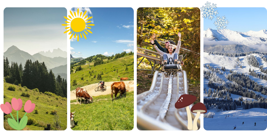 images-site-actu-1-17474861 images-site-actu-1-17474861