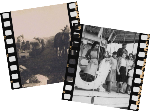 images-site-actu-40-a-17492303