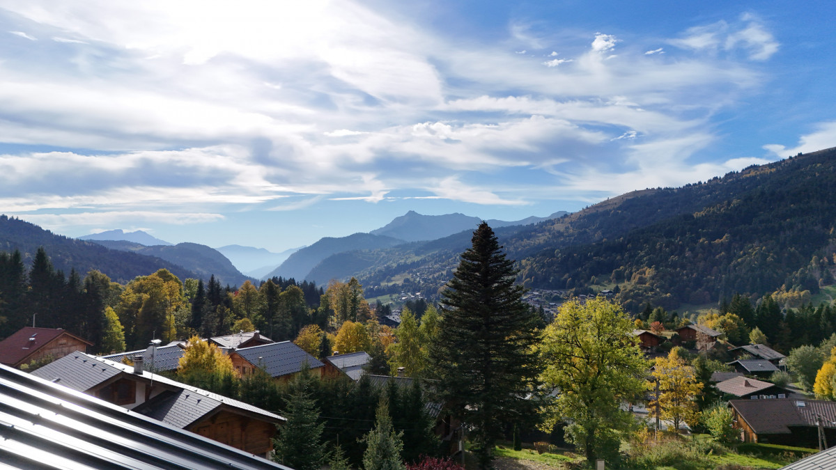 DJI_20251007163932_0486_D