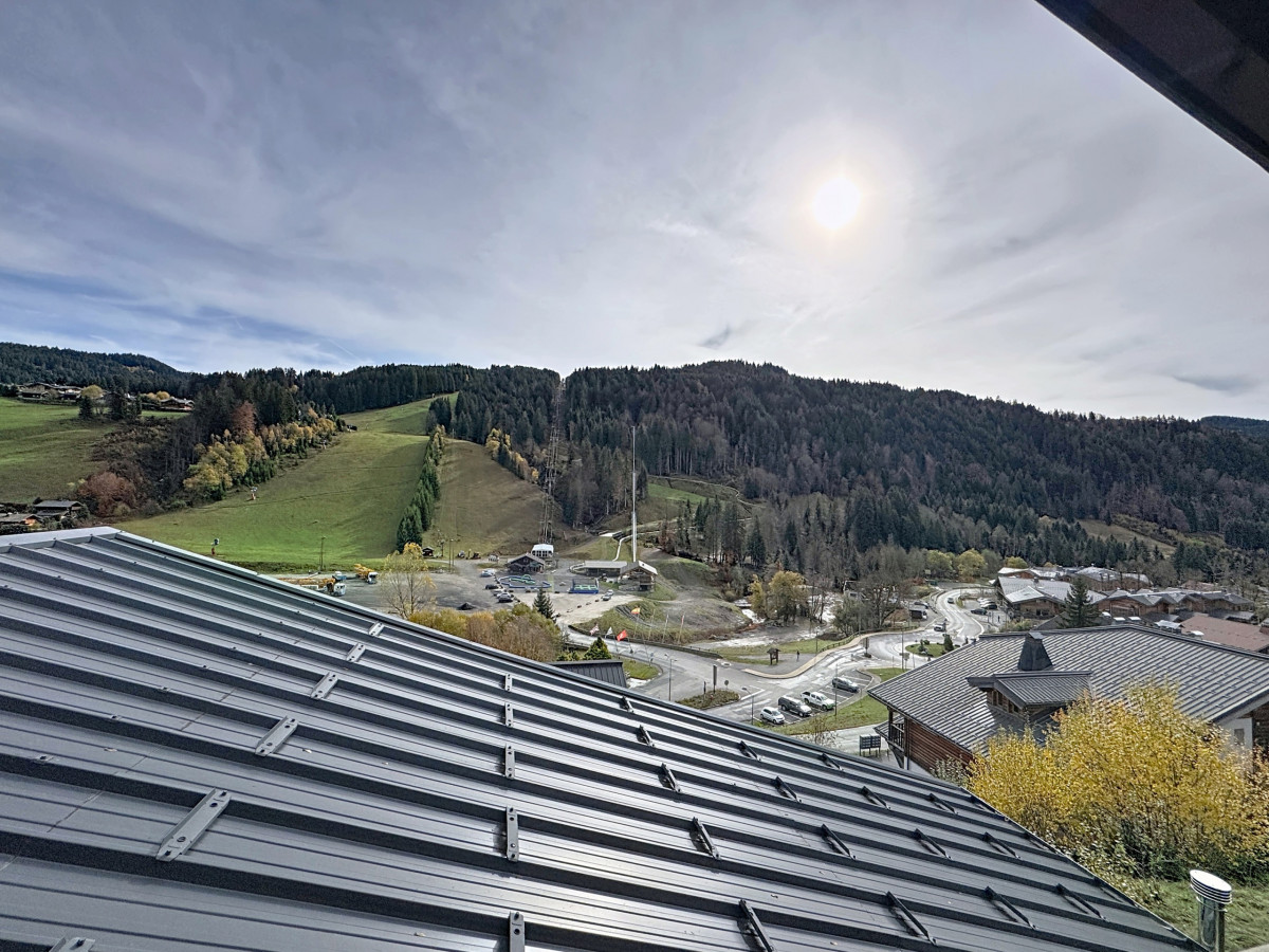 appt-31-bubinga_00109