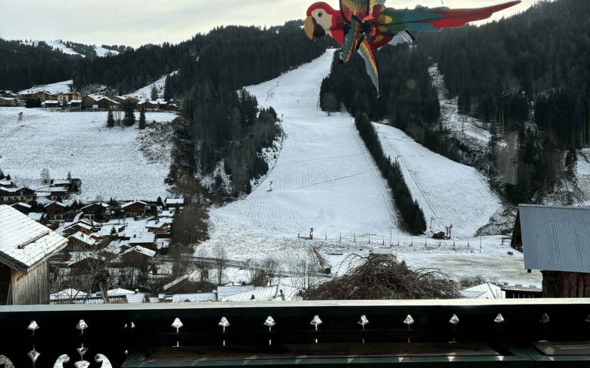 Room 506903-1198802 Room 506903-1198802