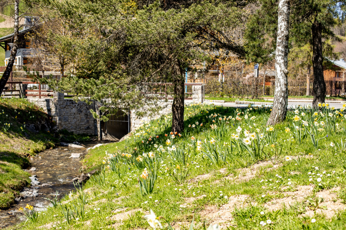 2022-04-28-printemps-fleurs-ruisseau-village-cplaurabureau-42-ld-9370560