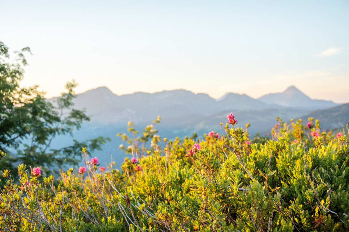 2022-06-14-sunset-ranfoilly-paysage-lesgets-cplaurabureau-20220614-dsc08477-ld-9370557