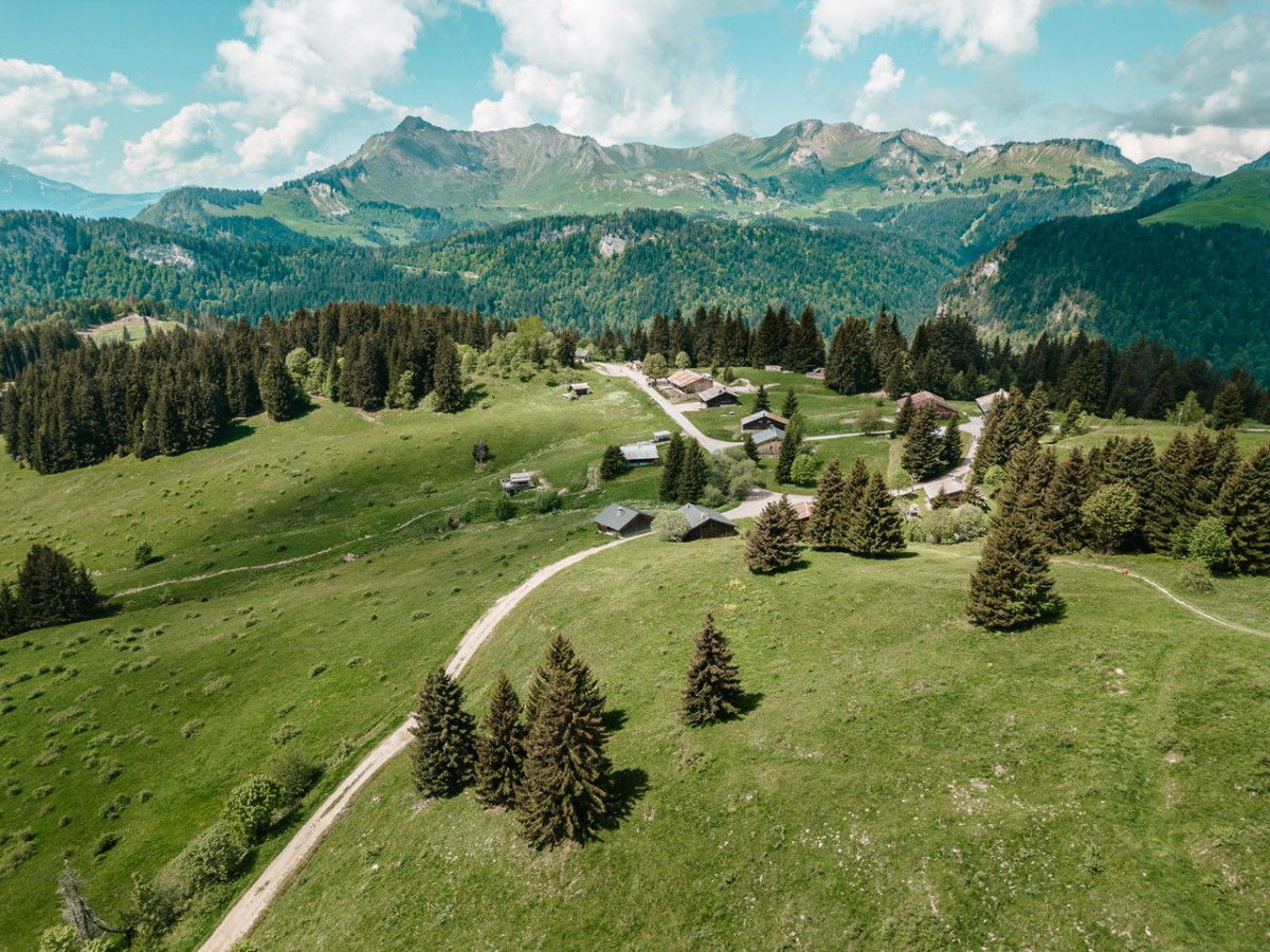 8fhgg7is-17742885 8fhgg7is-17742885