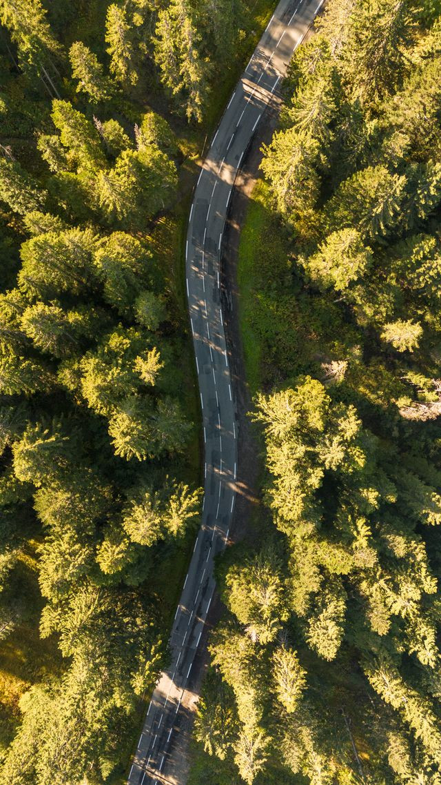 9kbouj25-17742884 9kbouj25-17742884