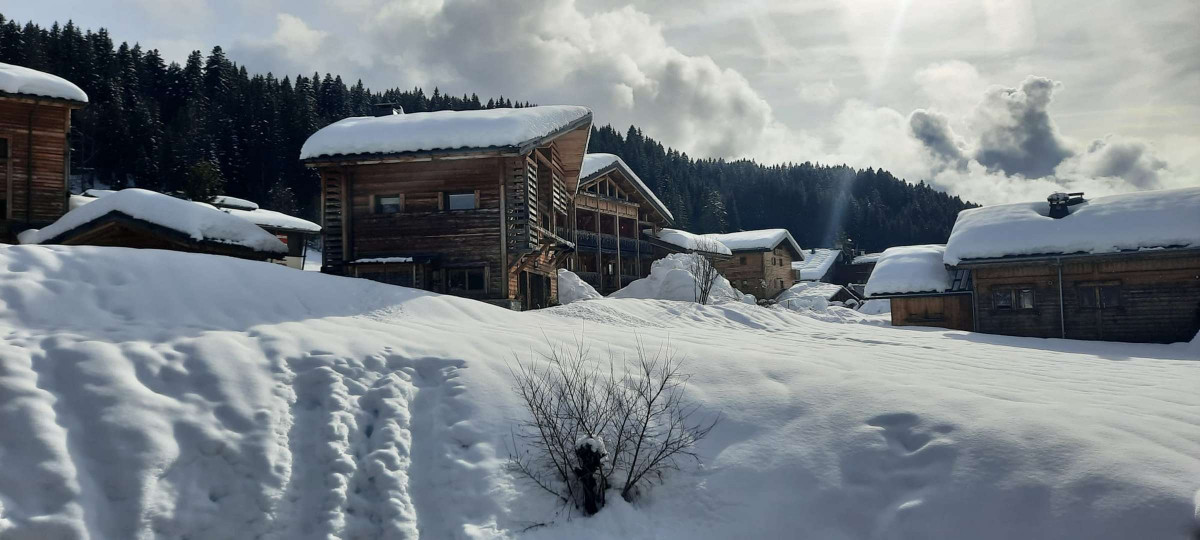 _clients_227426001_photos_156a_18789966