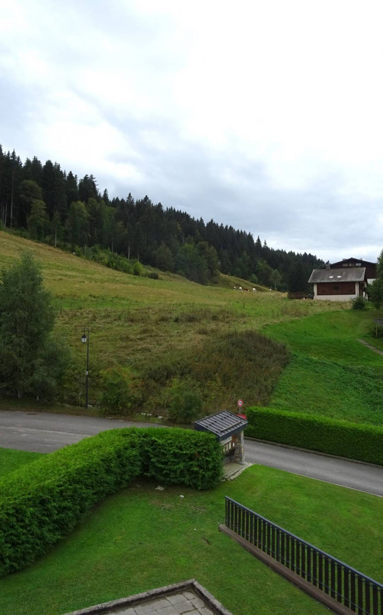 _clients_227426001_photos_208r_19281171