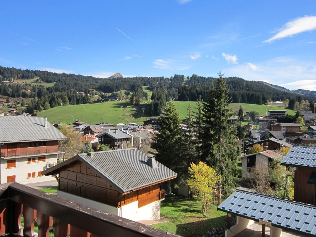 _clients_227426001_photos_31l_18790747