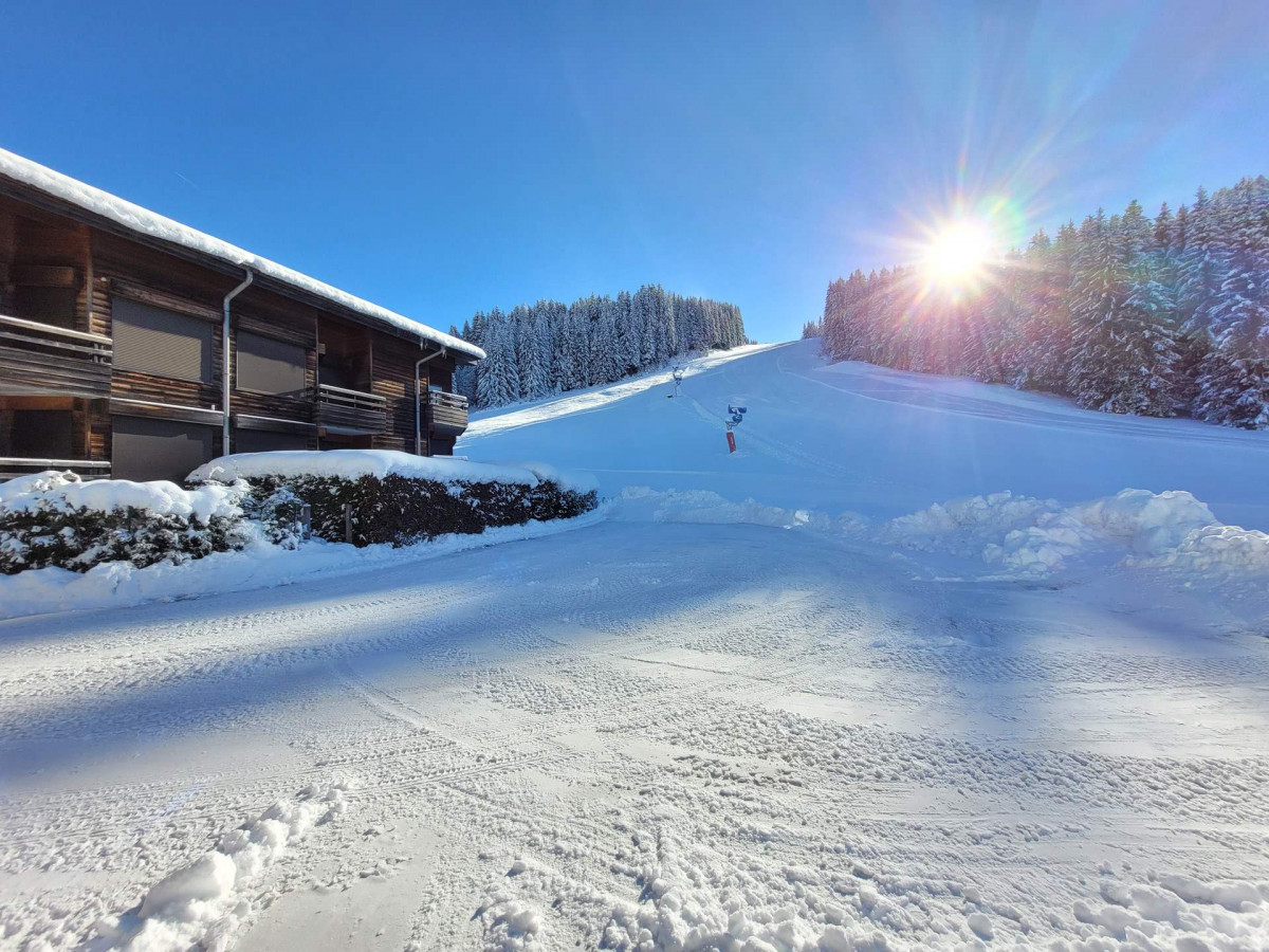 _lv_images__imme_0000000012_01_17866953 _lv_images__imme_0000000012_01_17866953