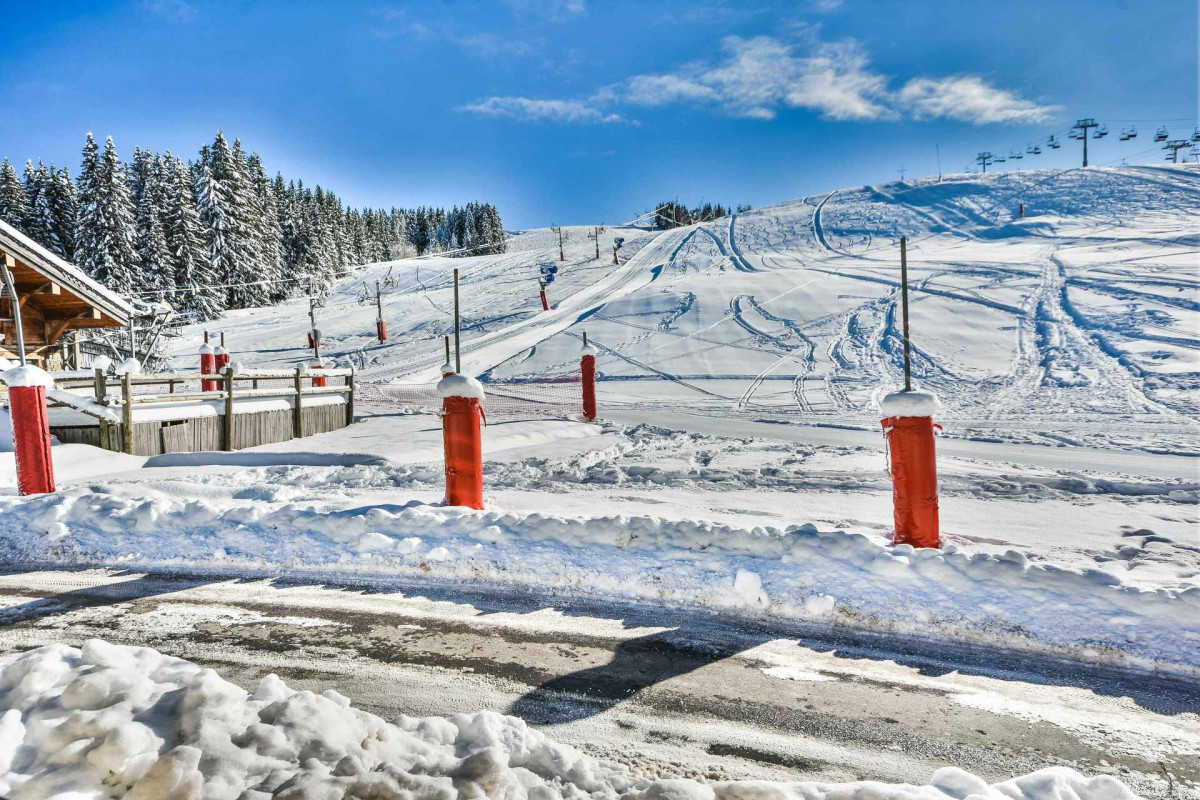 _lv_images__imme_0000002072_02_20434847 _lv_images__imme_0000002072_02_20434847