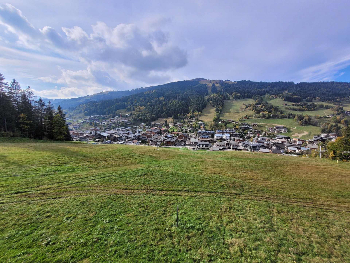 _lv_images__lot_0000000018_10_19264548 _lv_images__lot_0000000018_10_19264548