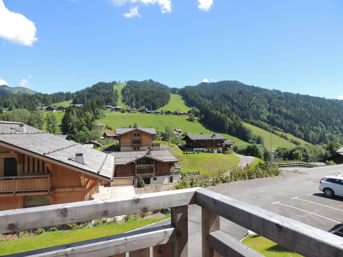 _lv_images__lot_0000000020_12_17866285 _lv_images__lot_0000000020_12_17866285