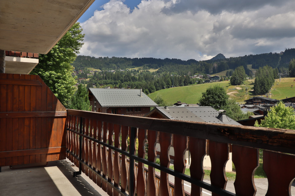 _lv_images__lot_0000000031_09_18930815