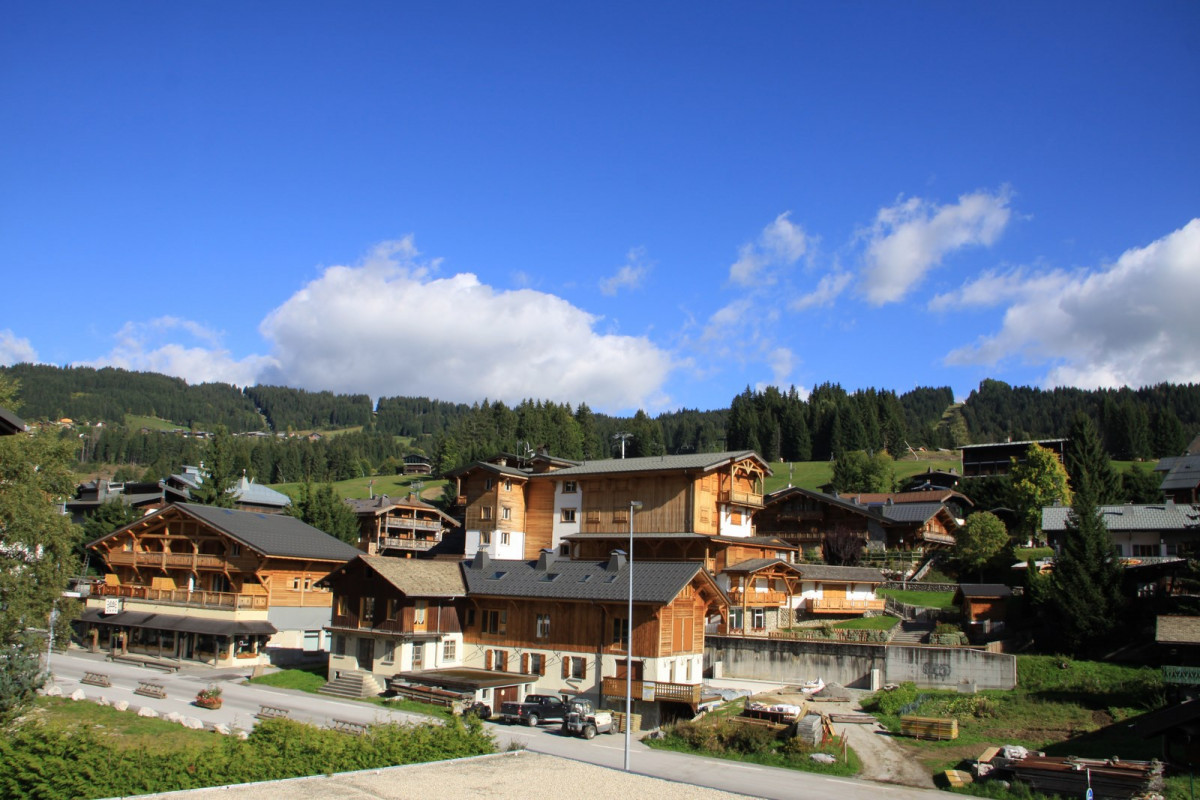 _lv_images__lot_0000000041_15_18486979 _lv_images__lot_0000000041_15_18486979