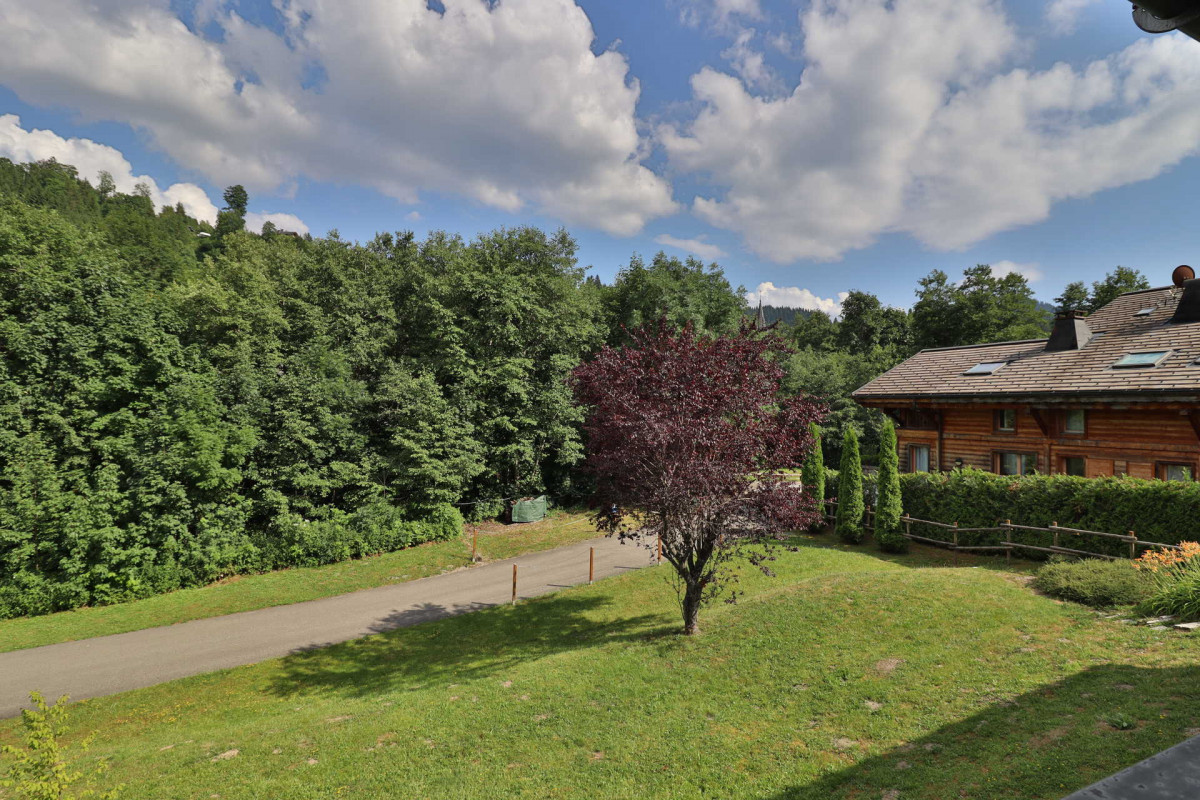 _lv_images__lot_0000000062_09_18478203