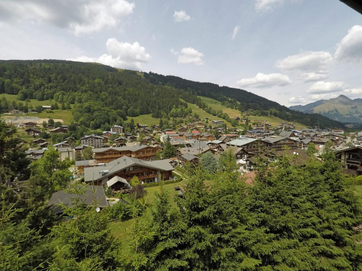 _lv_images__lot_0000000066_14_19362415