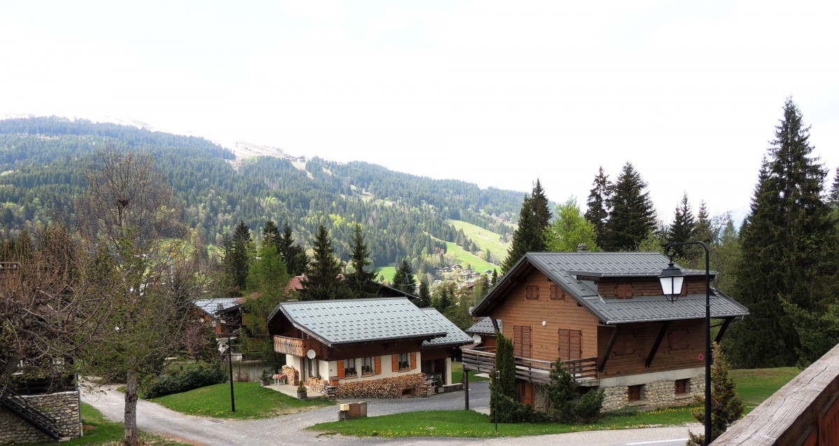 _lv_images__lot_0000000123_13_18426382