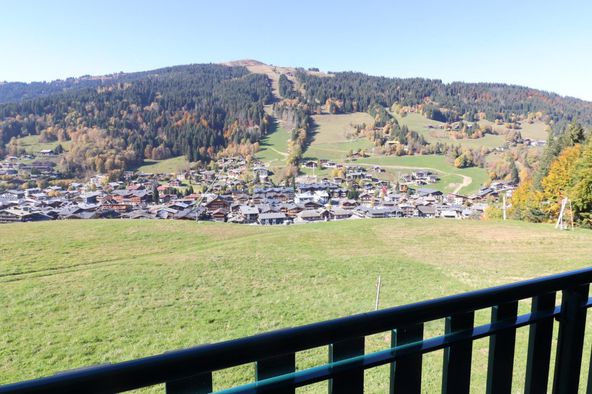 _lv_images__lot_0000000125_12_19362935