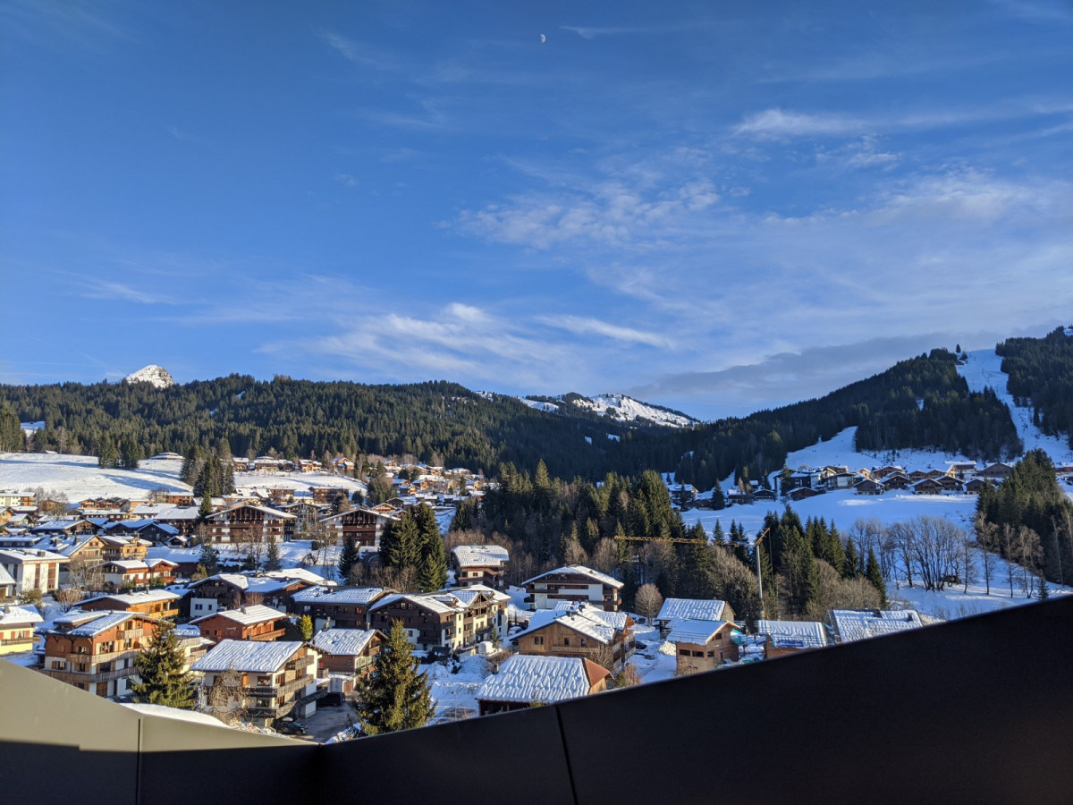_lv_images__lot_0000000146_13_20436445 _lv_images__lot_0000000146_13_20436445