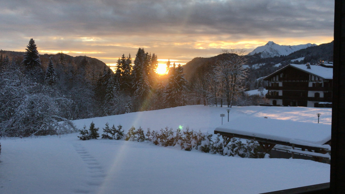 _lv_images__lot_0000000158_13_19358650