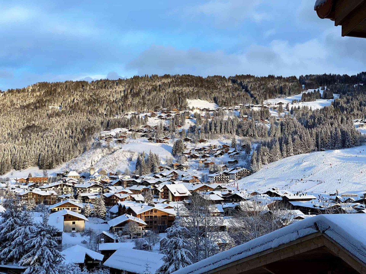 _lv_images__lot_0000000163_16_18783220 _lv_images__lot_0000000163_16_18783220