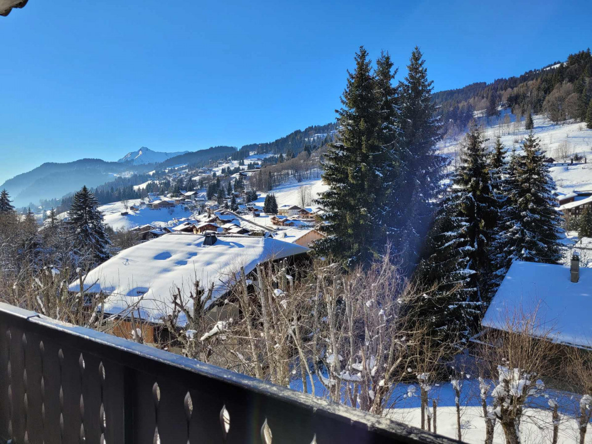 _lv_images__lot_0000000190_11_18793721 _lv_images__lot_0000000190_11_18793721