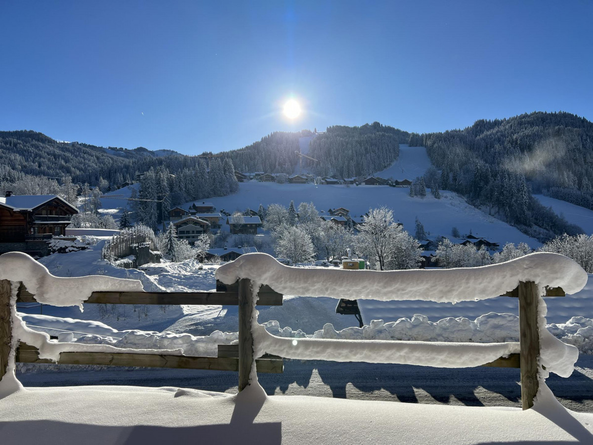 _lv_images__lot_0000120309_08_19380065