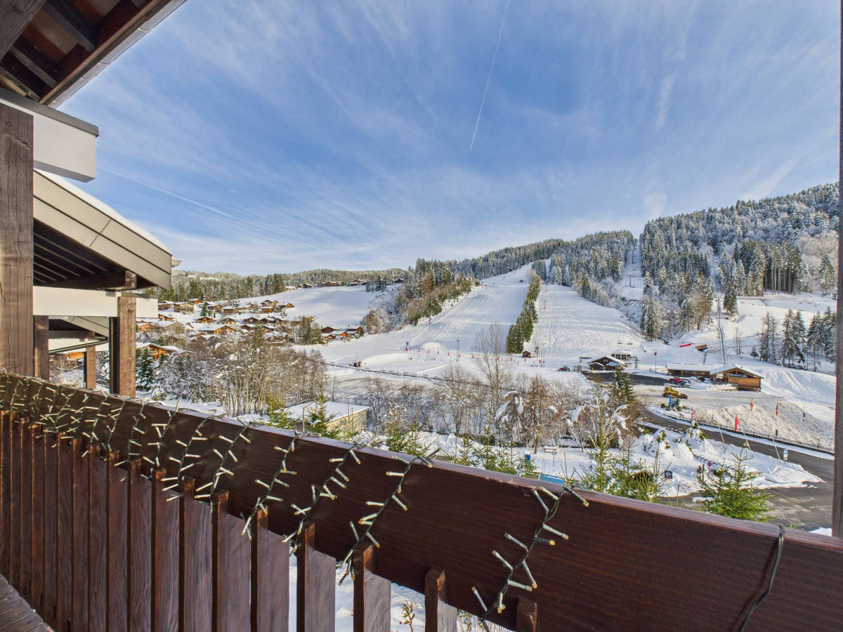 _lv_images__lot_0000350361_13_18485605