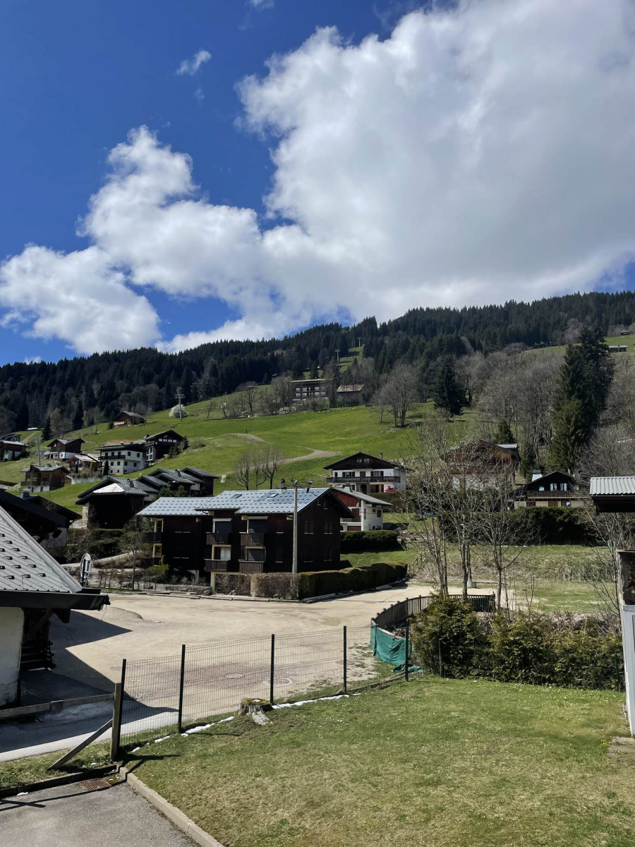 _lv_images__lot_0004000321_12_18042516