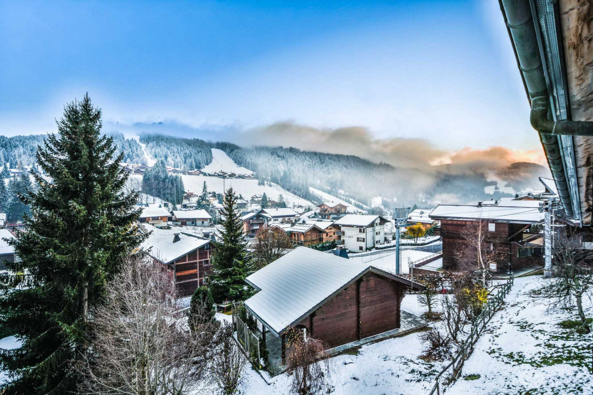 _lv_images__lot_0020182230_11_18481571