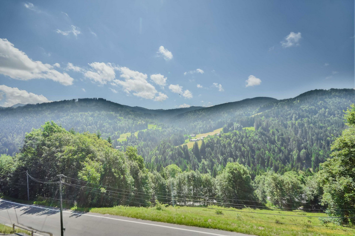 _lv_images__lot_0020392303_15_18925498