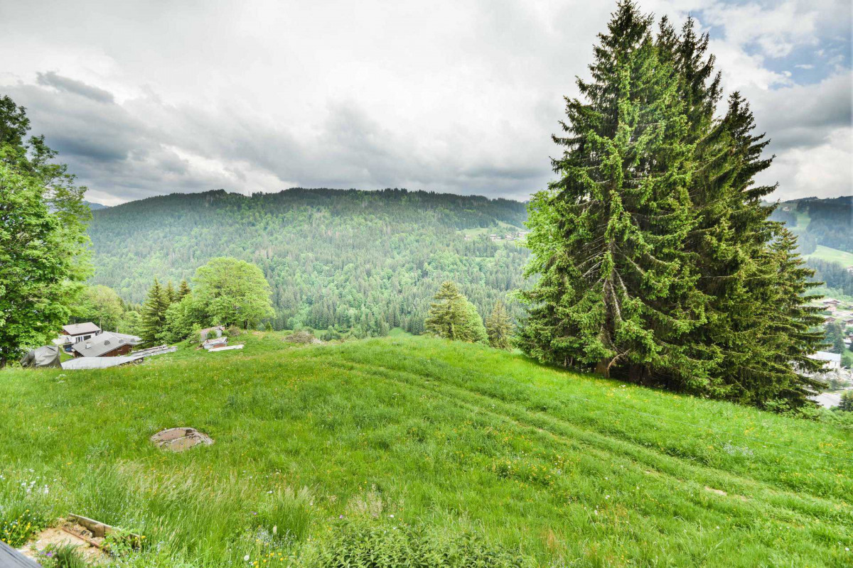 _lv_images__lot_0020392316_09_19357281