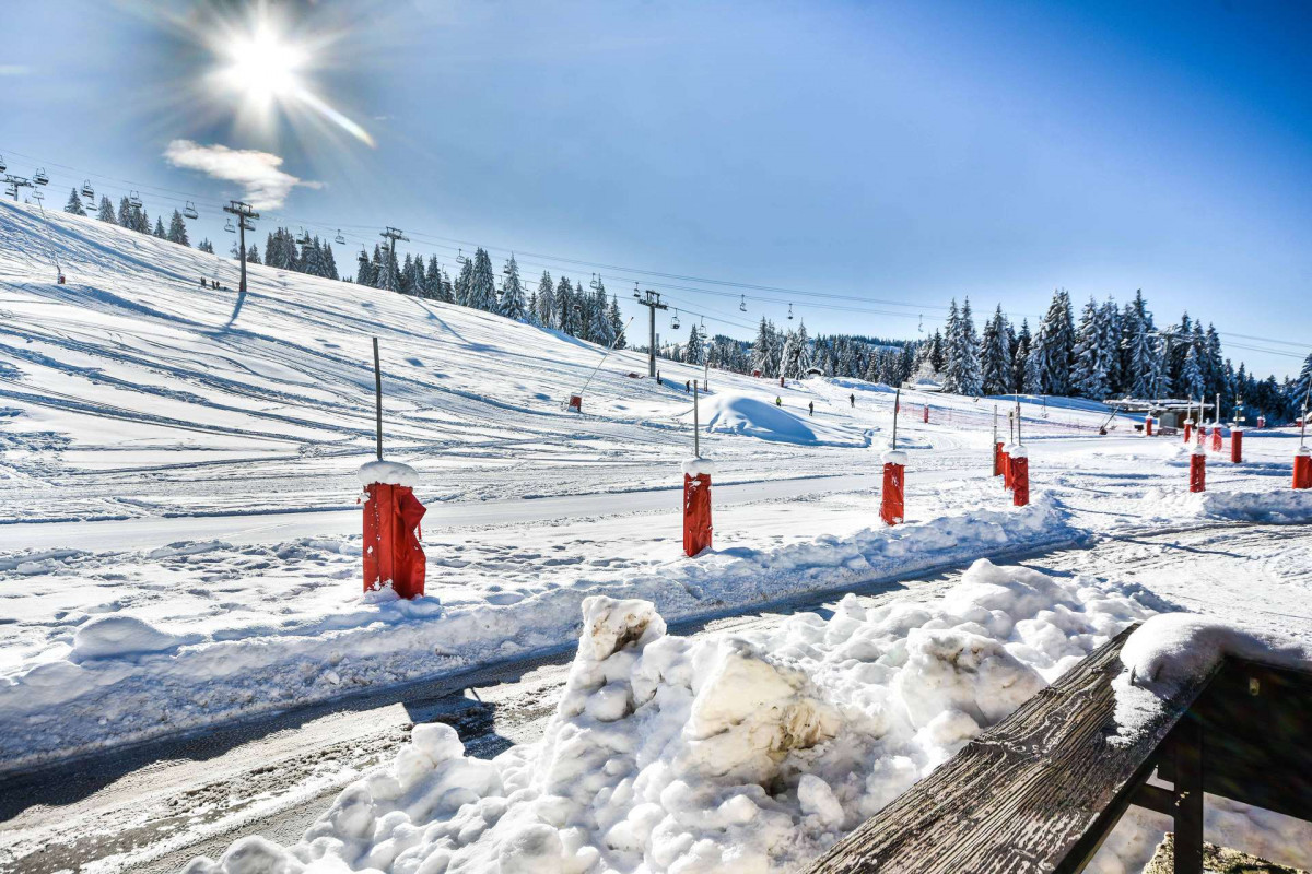 _lv_images__lot_0020392415_14_20434845 _lv_images__lot_0020392415_14_20434845
