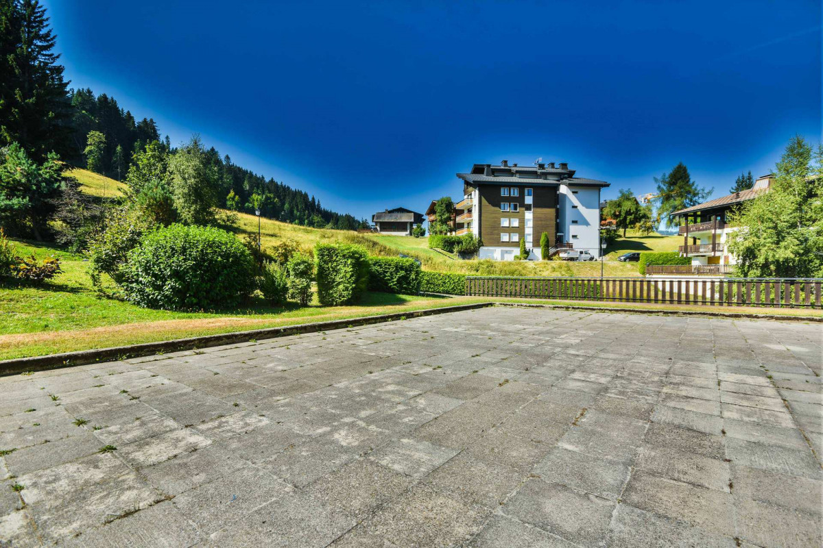 _lv_images__lot_0020392423_11_18048243 _lv_images__lot_0020392423_11_18048243