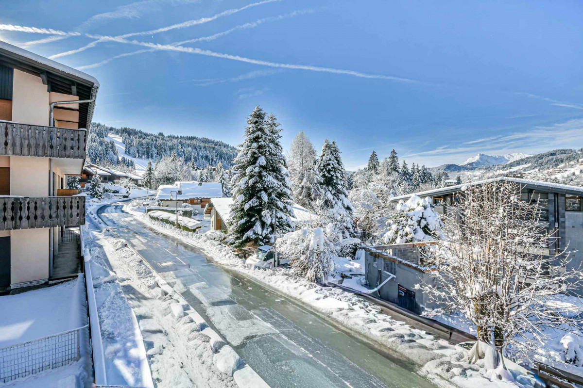 _lv_images__lot_0020392458_14_20434409 _lv_images__lot_0020392458_14_20434409