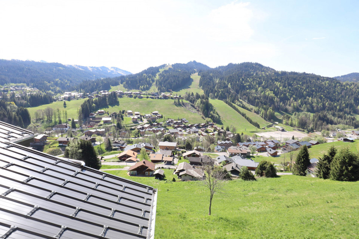 _lv_images__lot_0109021825_10_17970261