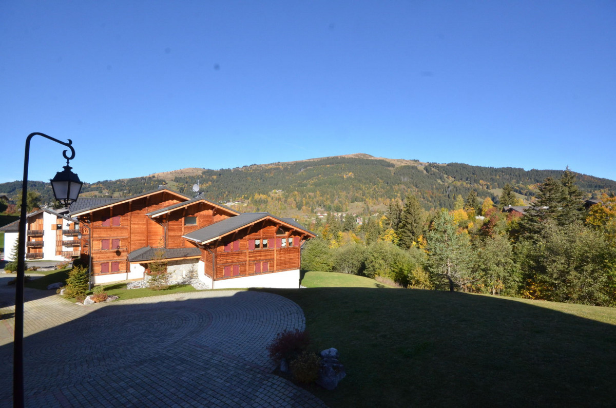 _lv_images__lot_0109021826_15_20447768 _lv_images__lot_0109021826_15_20447768
