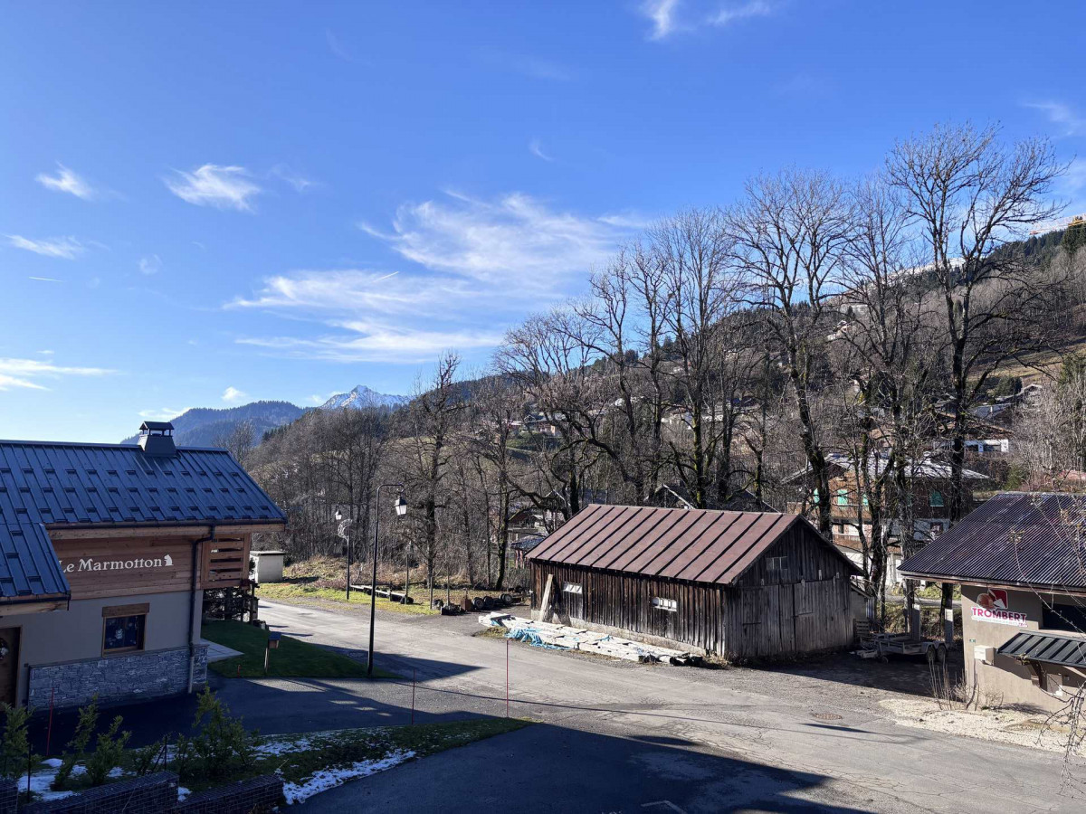 _lv_images__lot_0109021991_10_16770333
