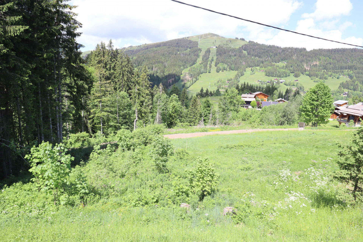 _lv_images__lot_0109021997_13_18042325 _lv_images__lot_0109021997_13_18042325