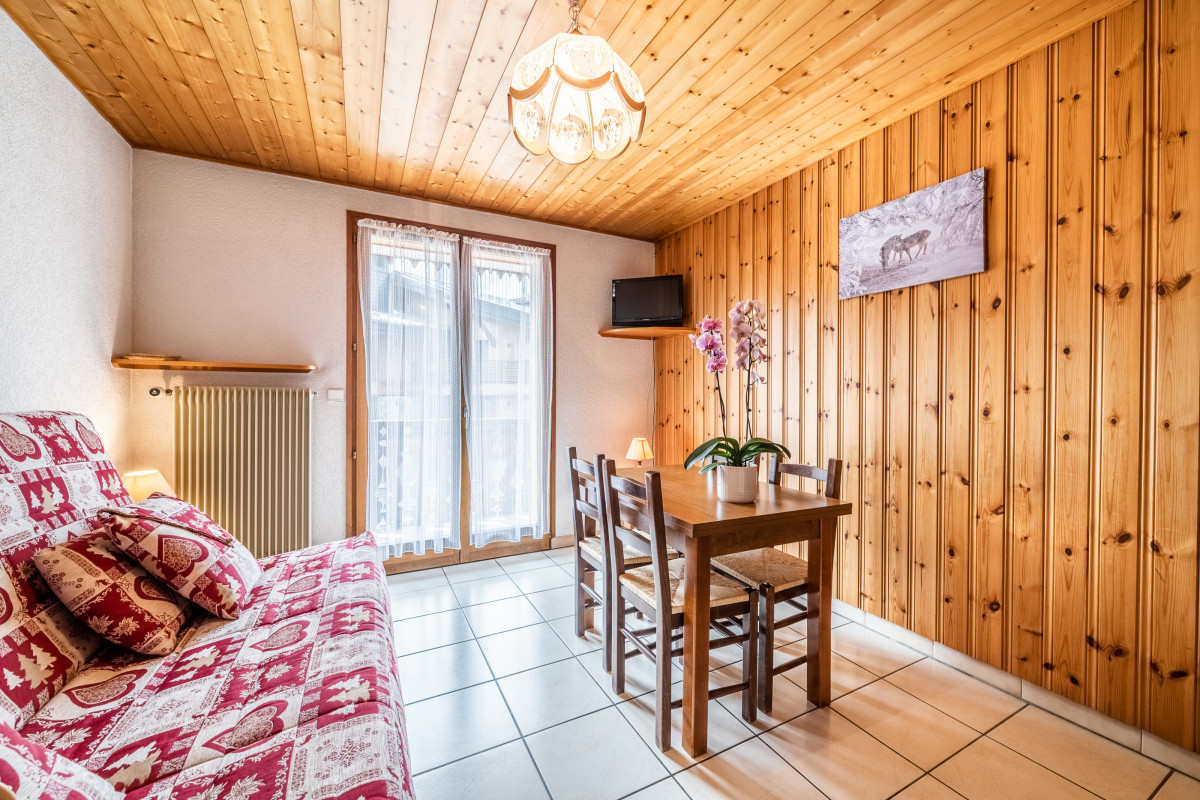 Amaryllis-2-sejour-salon-cuisine-location-appartement-chalet-Les-Gets