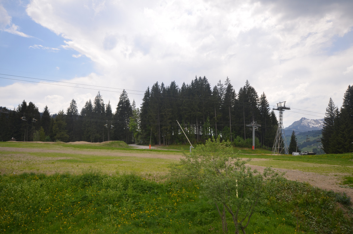 Atout-coeur-vue-ete-location-appartement-chalet-Les-Gets
