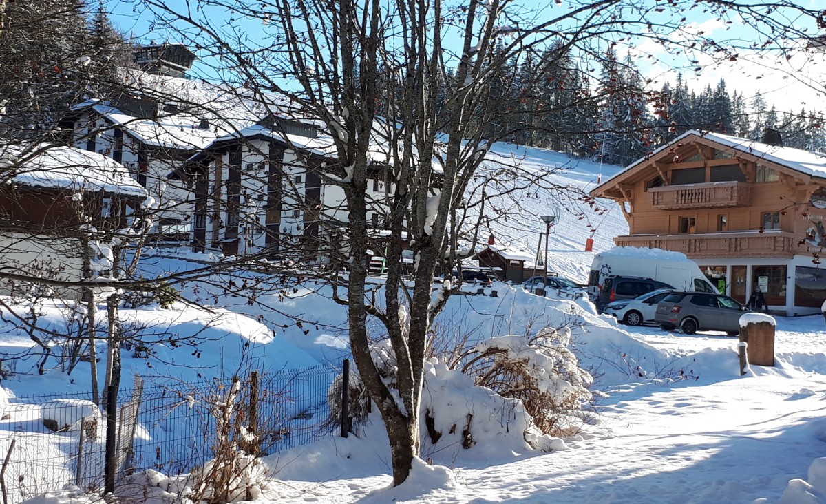 Aulnaie-1-vue-hiver1-location-appartement-chalet-Les-Gets