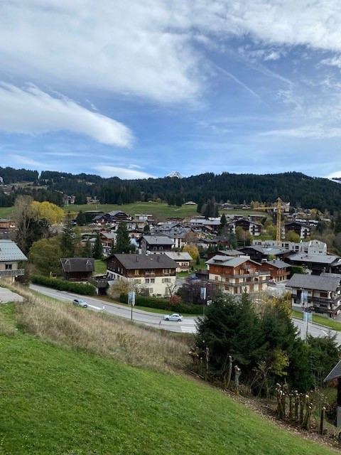Bouillandire-C67-vue-ete-location-chalet-appartement-Les-Gets