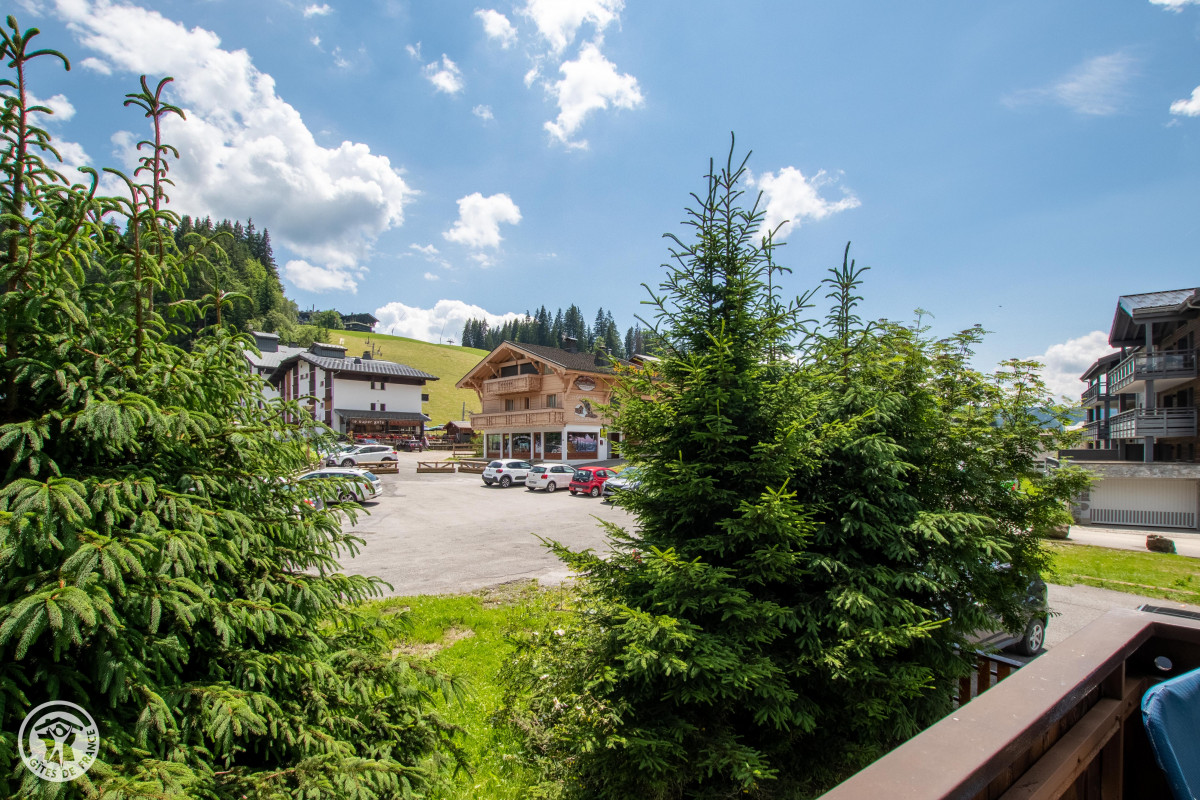 bouton-d-or-vue-location-appartement-chalet-Les-Gets